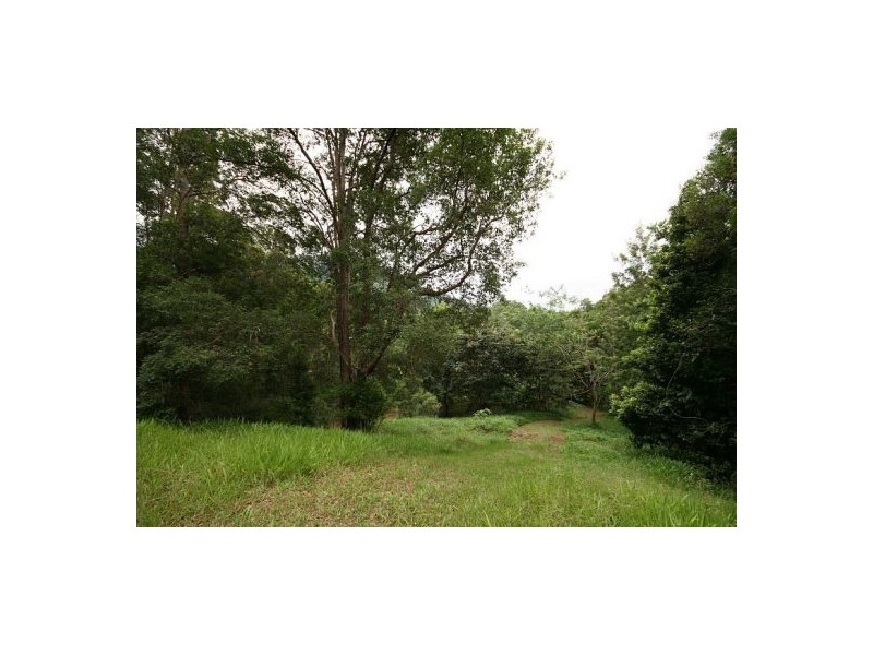 Chillingham NSW 2484