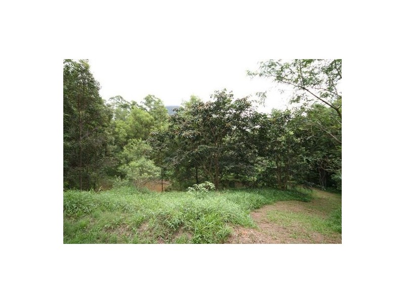 Chillingham NSW 2484