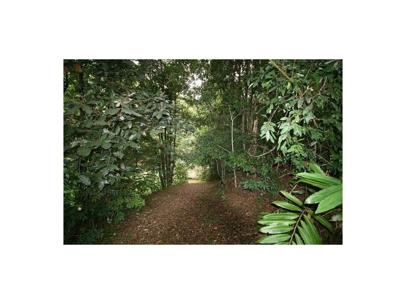 Chillingham NSW 2484