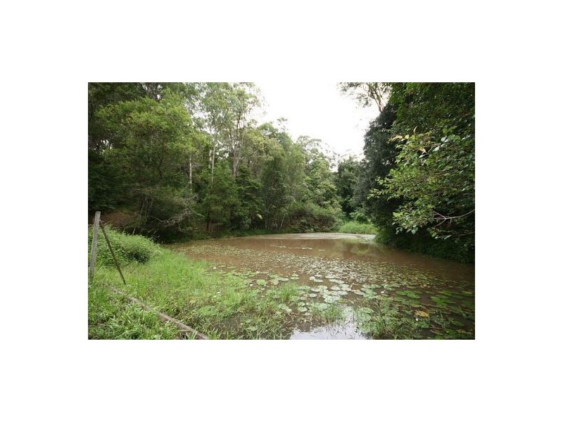 Chillingham NSW 2484