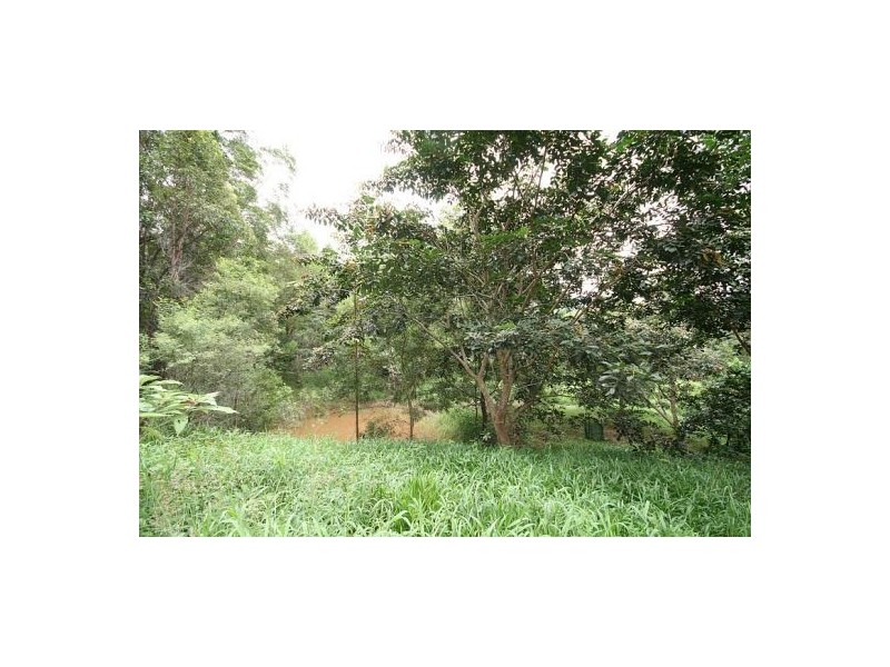 Chillingham NSW 2484