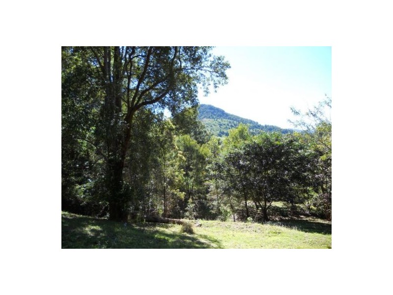 Chillingham NSW 2484