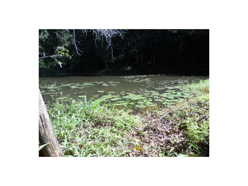 Chillingham NSW 2484