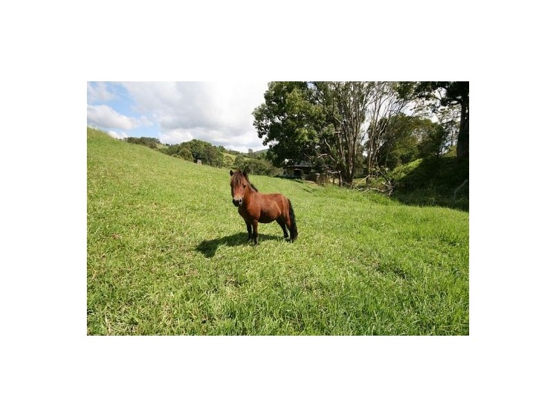 Crabbes Creek NSW 2483