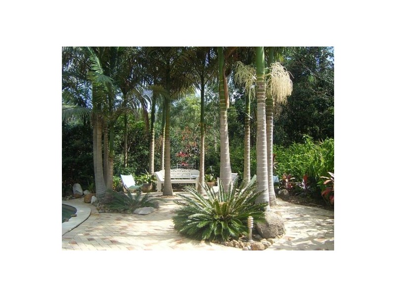 Crabbes Creek NSW 2483