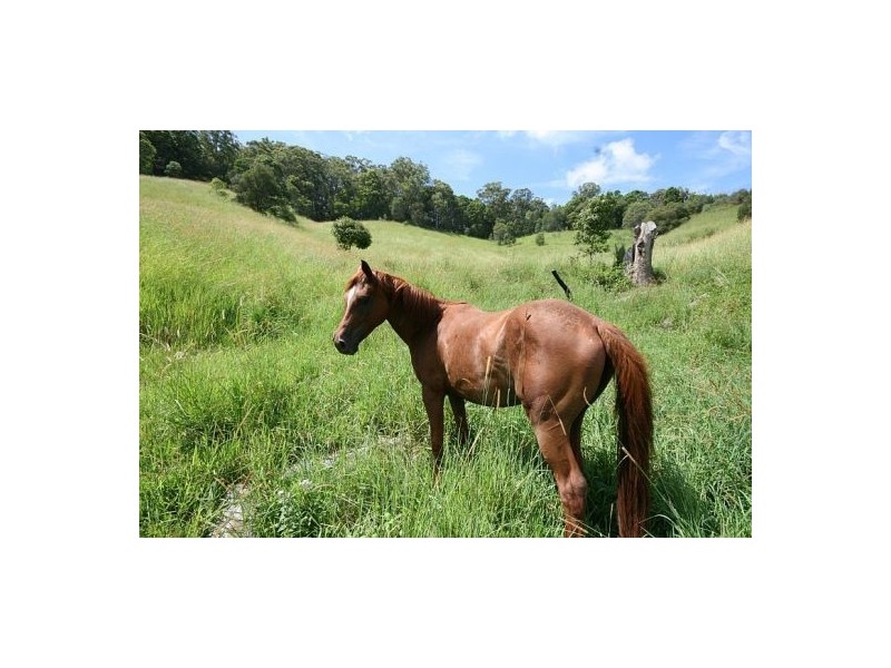 Crabbes Creek NSW 2483