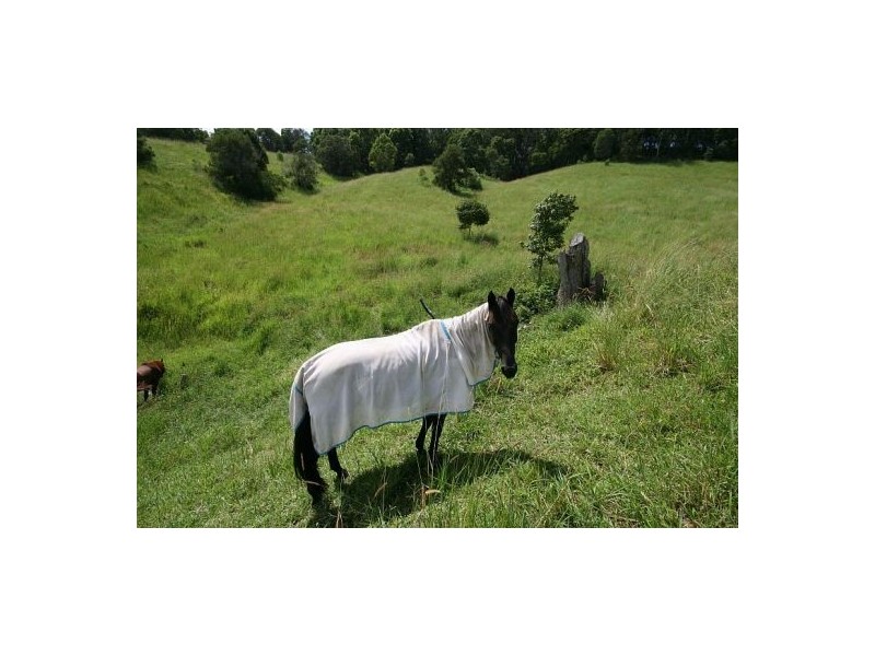 Crabbes Creek NSW 2483