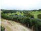 Reserve Creek NSW 2484