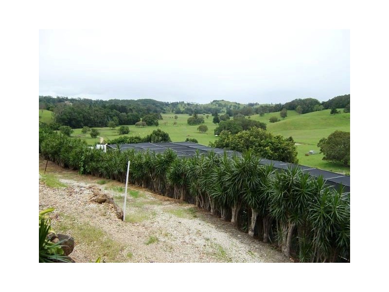 Reserve Creek NSW 2484