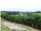 Reserve Creek NSW 2484