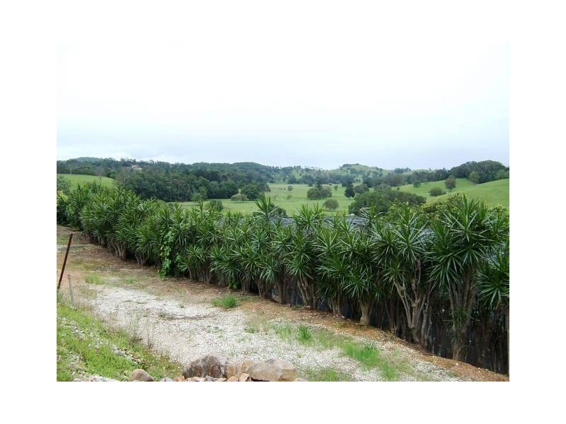 Reserve Creek NSW 2484