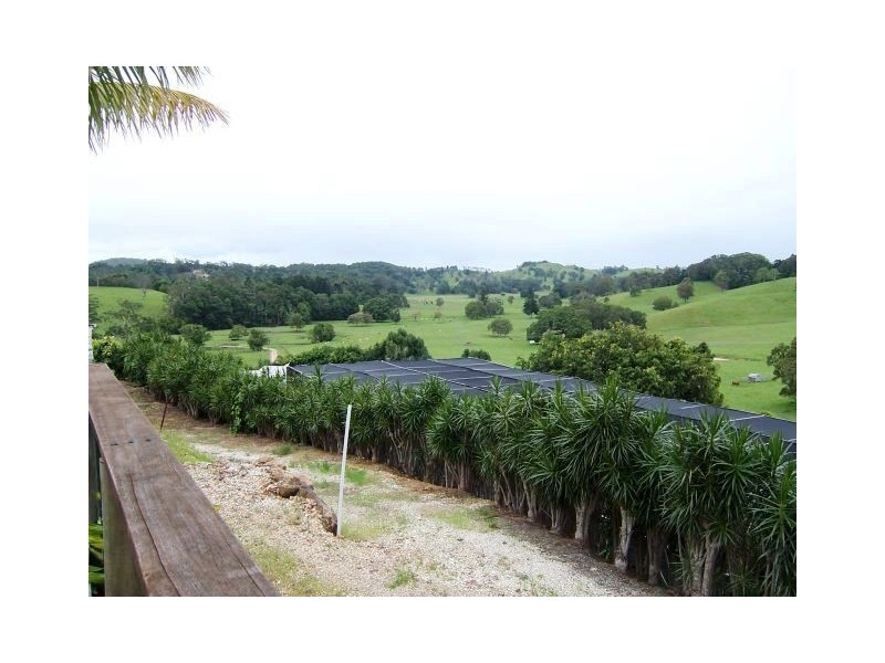 Reserve Creek NSW 2484