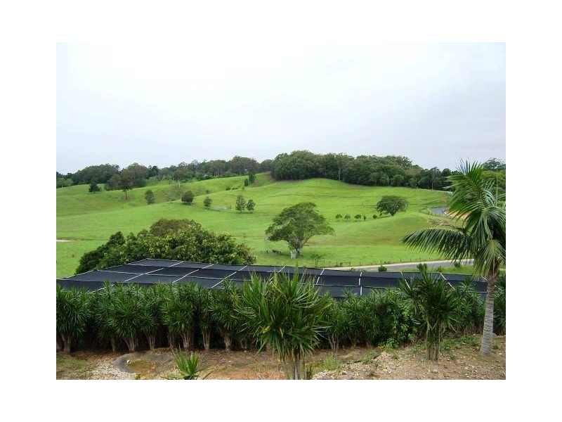 Reserve Creek NSW 2484