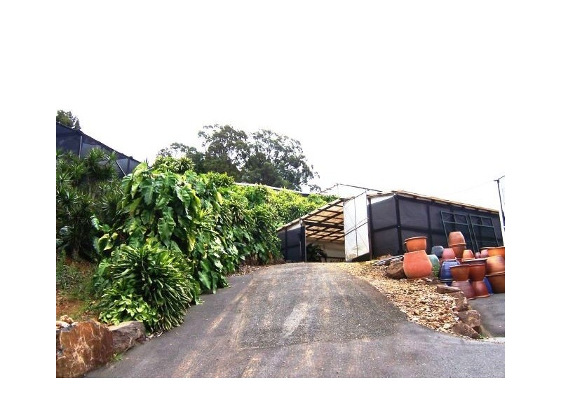 Reserve Creek NSW 2484