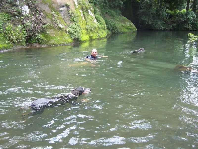 Lot 2 Horseshoe Creek Road, Kyogle NSW 2474