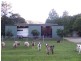 Lot 2 Horseshoe Creek Road, Kyogle NSW 2474