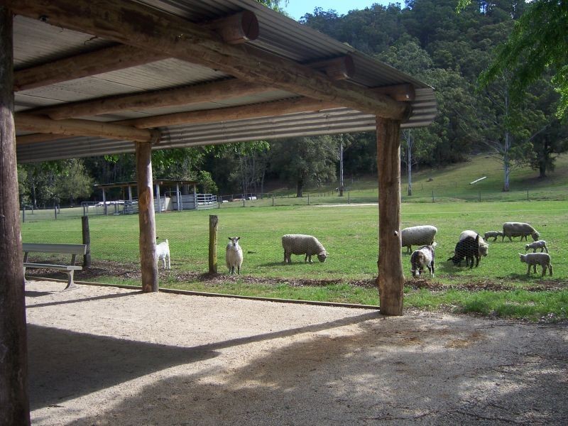 Lot 2 Horseshoe Creek Road, Kyogle NSW 2474