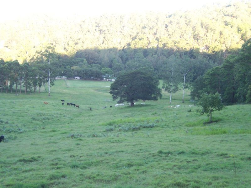 Lot 2 Horseshoe Creek Road, Kyogle NSW 2474