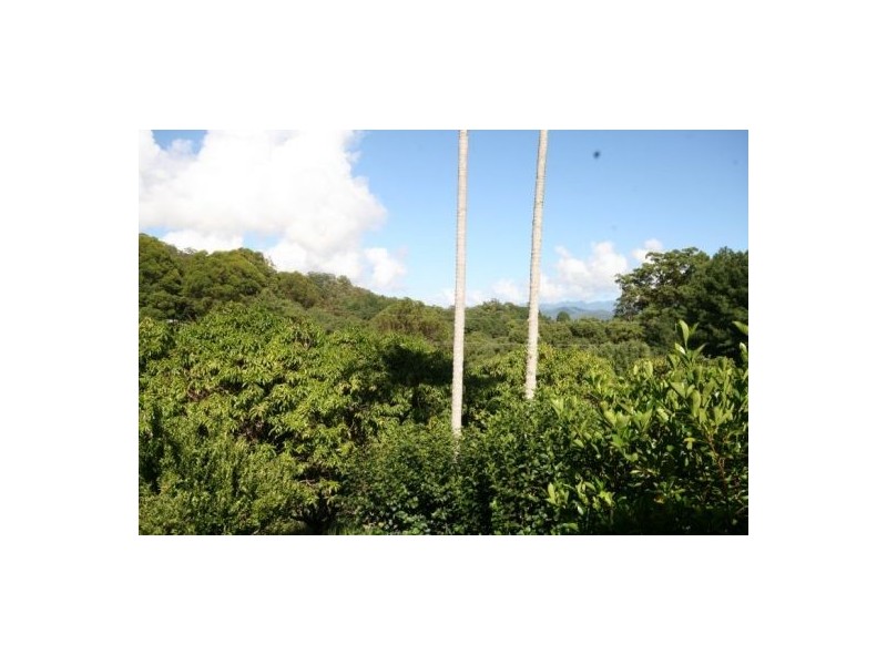 3791 Tweed Valley Way, Murwillumbah NSW 2484