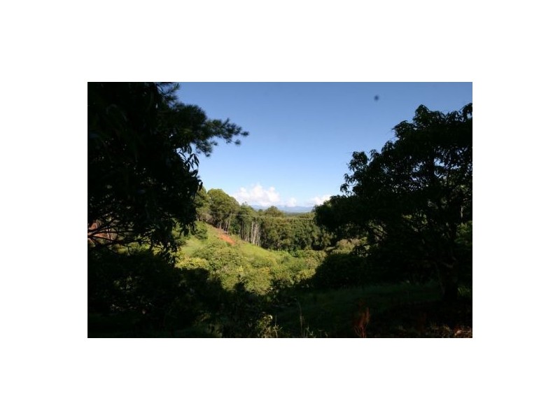 3791 Tweed Valley Way, Murwillumbah NSW 2484