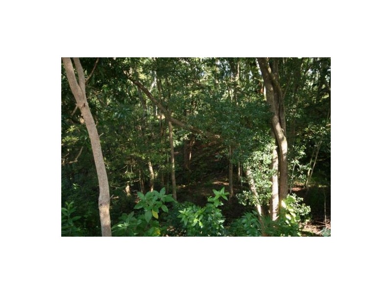 3791 Tweed Valley Way, Murwillumbah NSW 2484