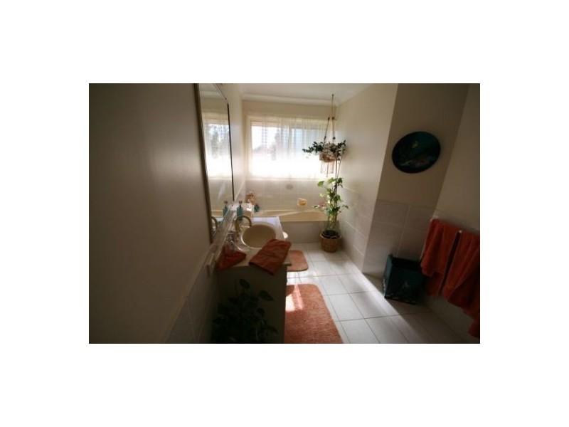 Murwillumbah NSW 2484