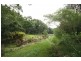 217 Sleepy Hollow Rd, Sleepy Hollow NSW 2483
