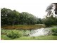 217 Sleepy Hollow Rd, Sleepy Hollow NSW 2483