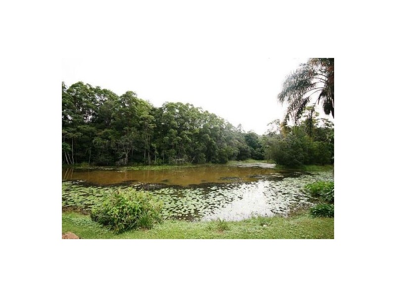 217 Sleepy Hollow Rd, Sleepy Hollow NSW 2483
