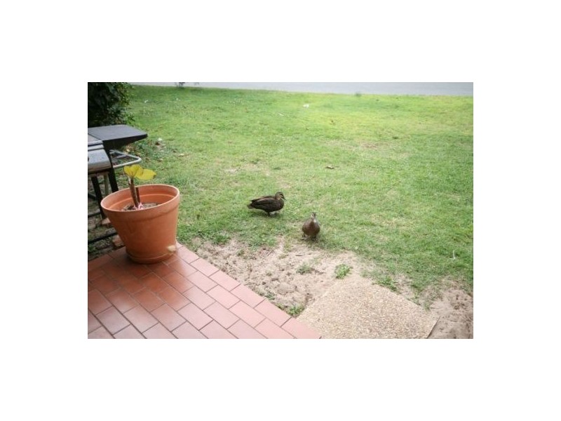 Fingal Head NSW 2487