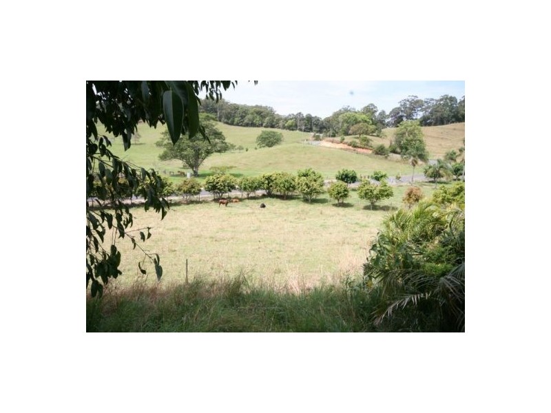 Reserve Creek NSW 2484