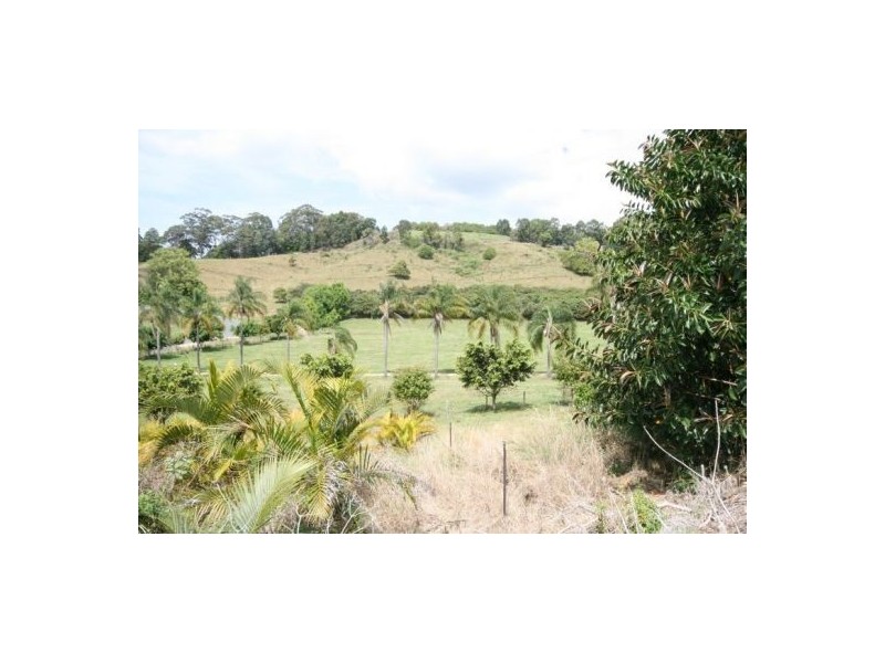 Reserve Creek NSW 2484