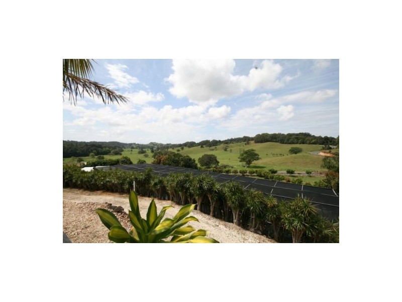 Reserve Creek NSW 2484