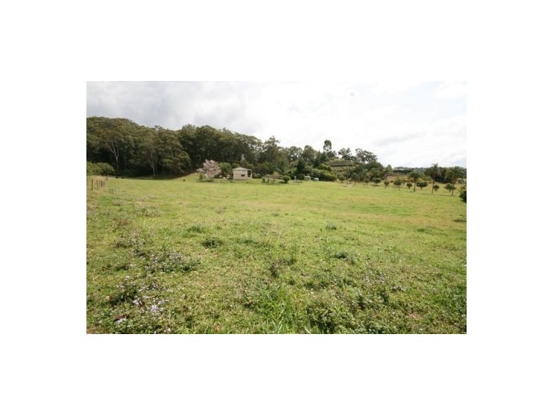 Reserve Creek NSW 2484