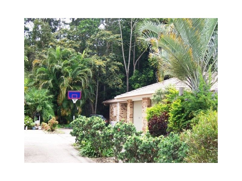 Murwillumbah NSW 2484