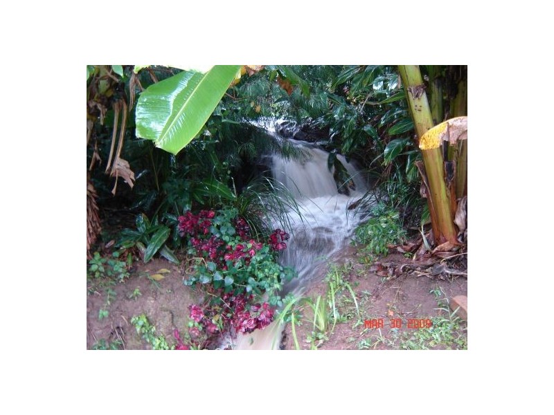 Nunderi NSW 2484