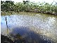 Nudgee Beach QLD 4014