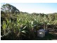 Pottsville NSW 2489