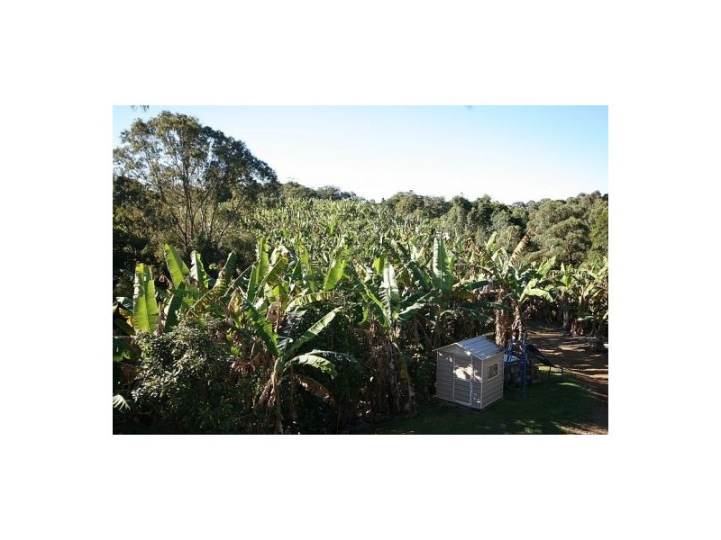 Pottsville NSW 2489