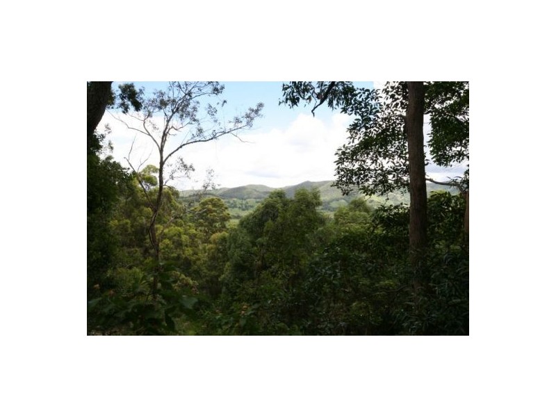 Murwillumbah NSW 2484