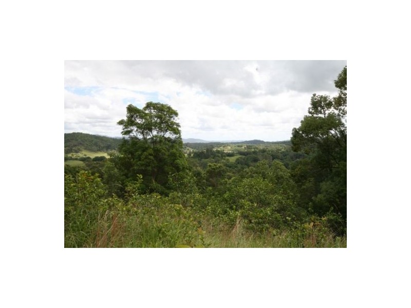 Murwillumbah NSW 2484