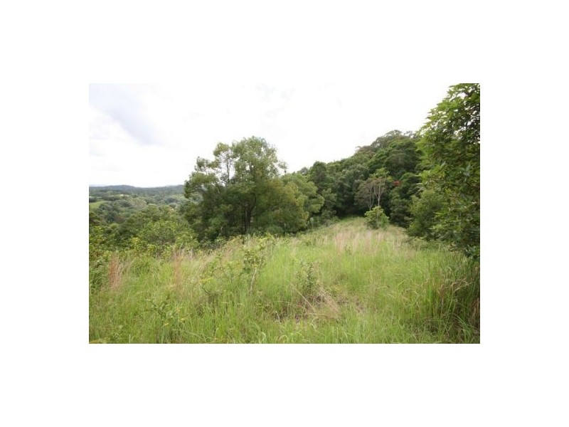 Murwillumbah NSW 2484