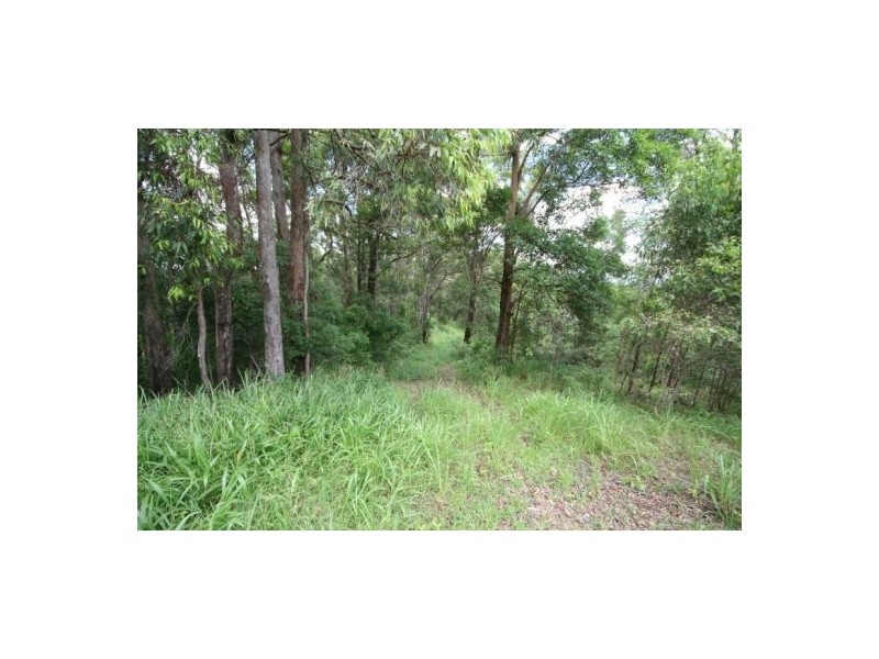 Murwillumbah NSW 2484