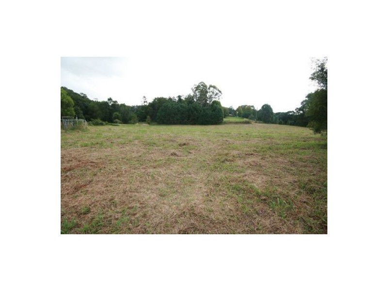 Murwillumbah NSW 2484