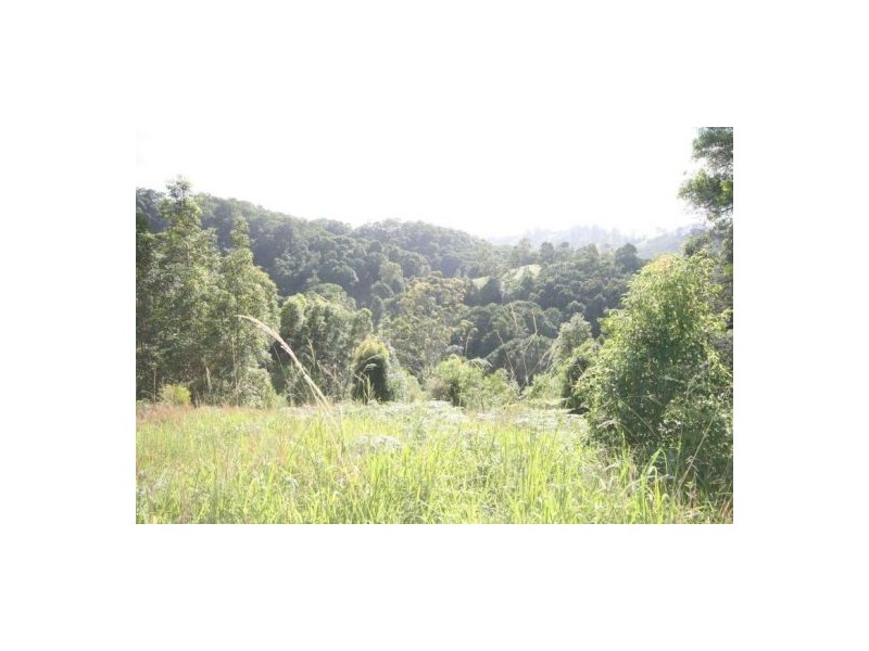 Murwillumbah NSW 2484