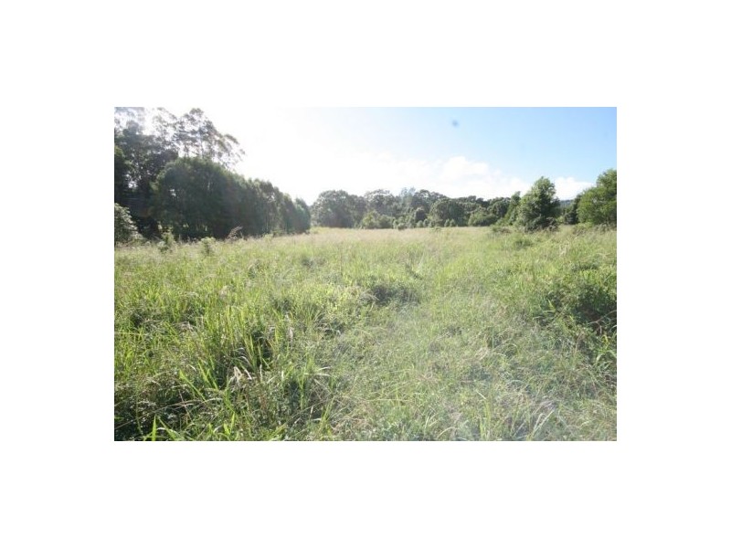 Murwillumbah NSW 2484