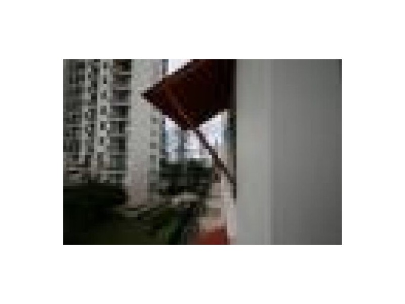 Coolangatta QLD 4225