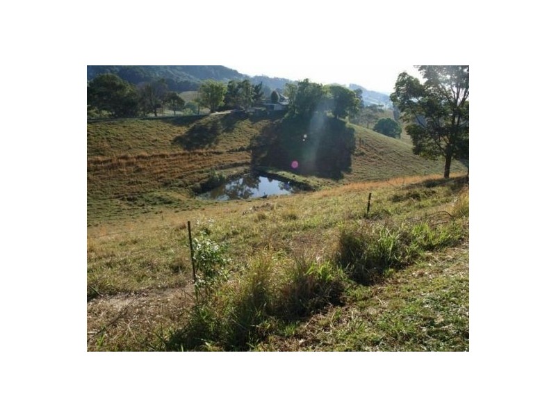 Clothiers Creek NSW 2484