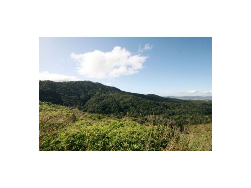 702 Tomewin Road, Murwillumbah NSW 2484