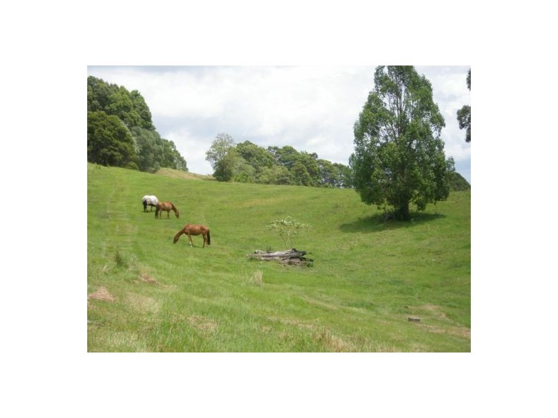 Cabarita Beach NSW 2488